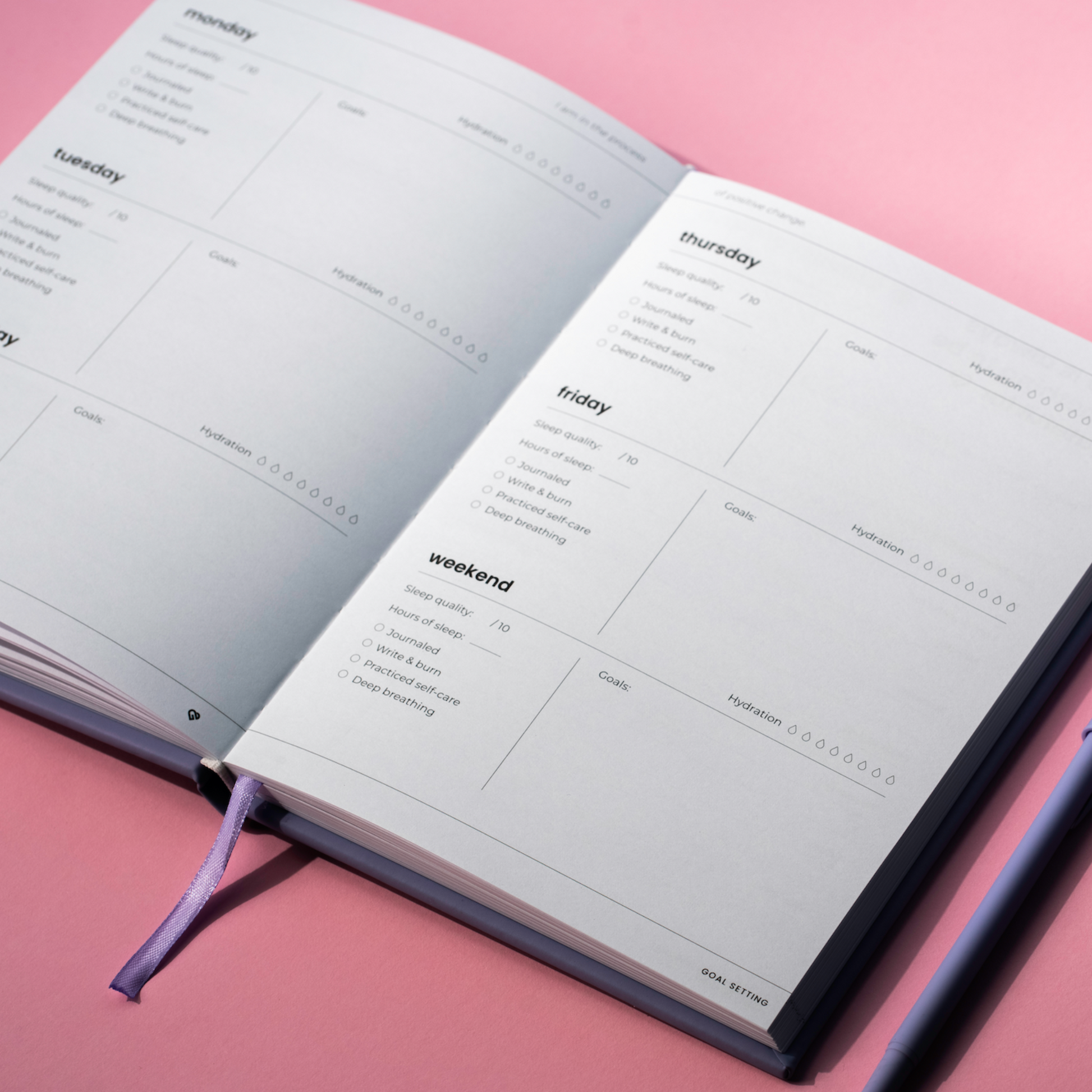 The Good Day Journal